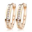 Trendy Champagne Gold and Silver Color Cubic Zirconia Simple Item Female Earrings Hoop Jewelry For Cheap