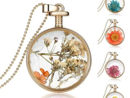 Fresh Pressed dried real Flowers, simple Vintage Long Chain Crystal Round Pendant Necklace jewelry Online now